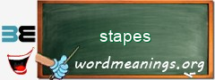 WordMeaning blackboard for stapes